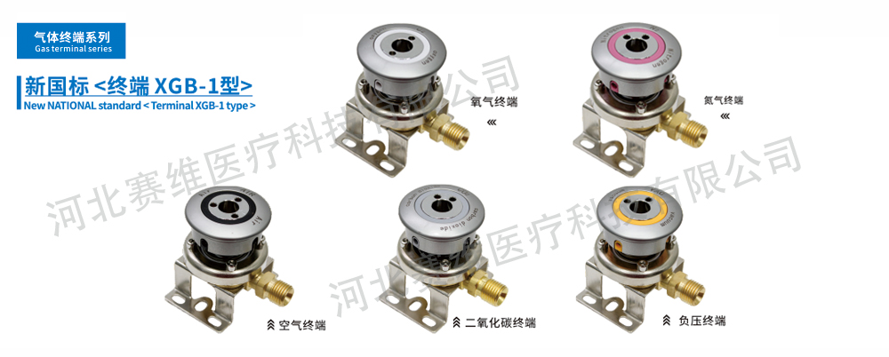 氣體終端系列-新國(guó)標(biāo)終端XGB-1型