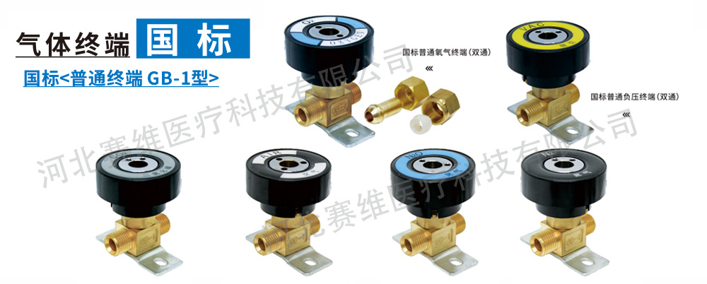 氣體終端-國(guó)標(biāo)普通終端GB-1型