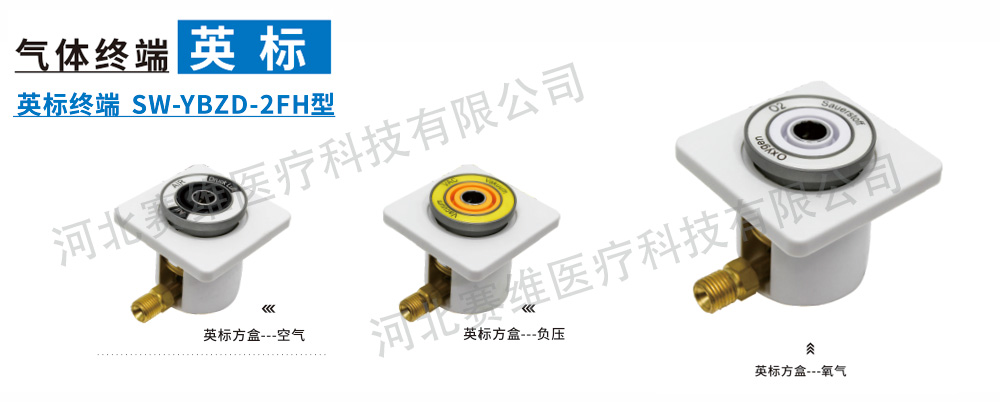 氣體終端-英標終端-2方盒型