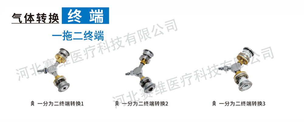 氣體轉(zhuǎn)換終端 --- 一分二終端